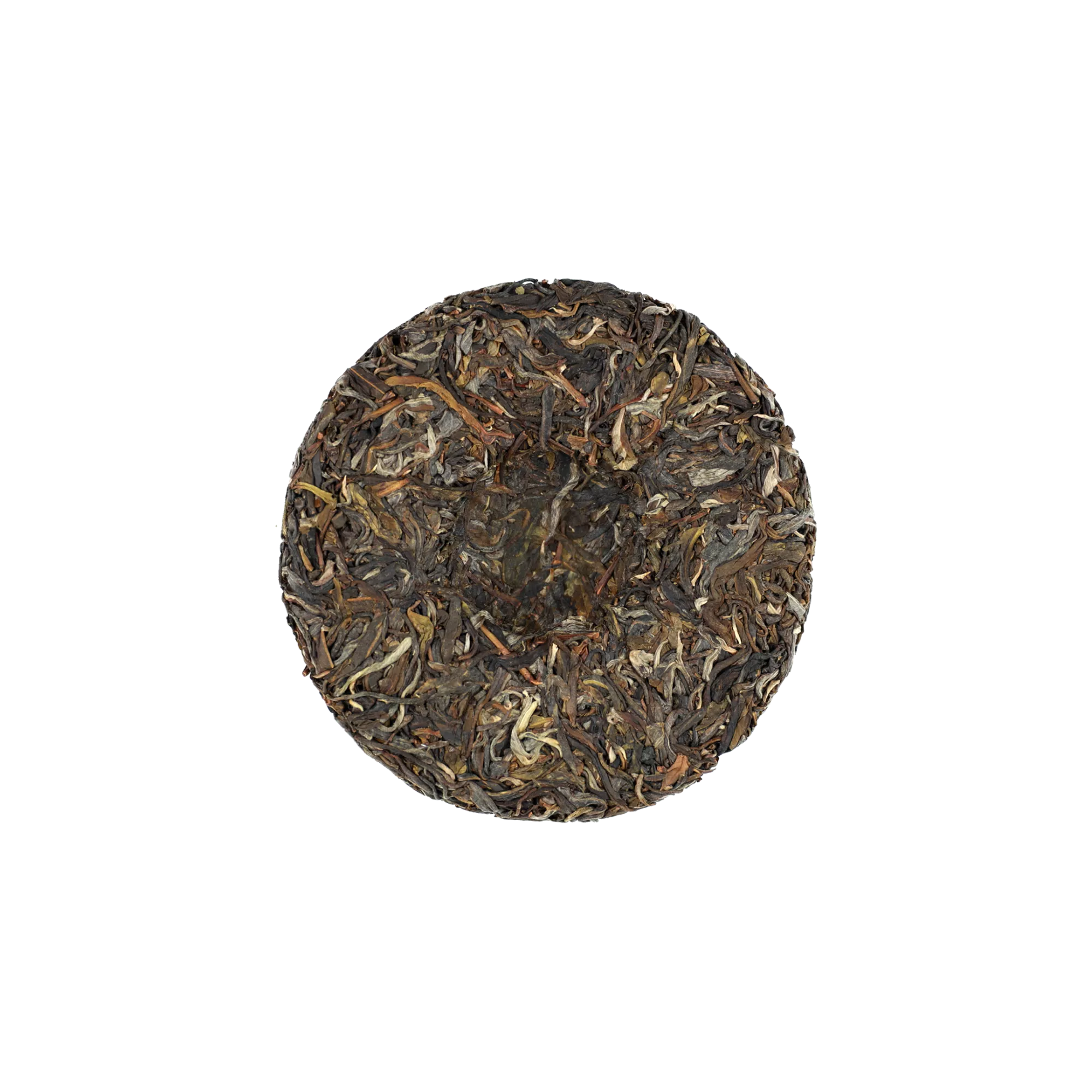 启顺古树普洱生茶