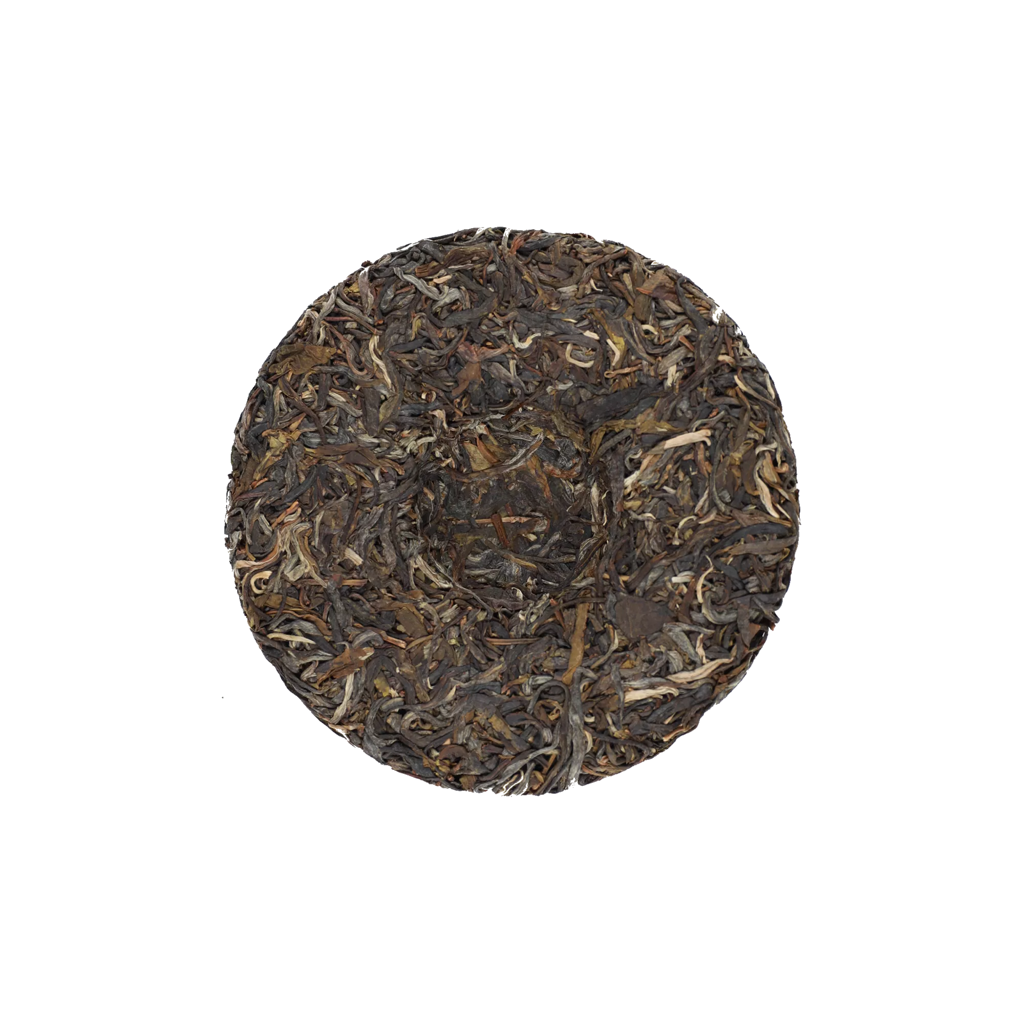 启顺古树普洱生茶