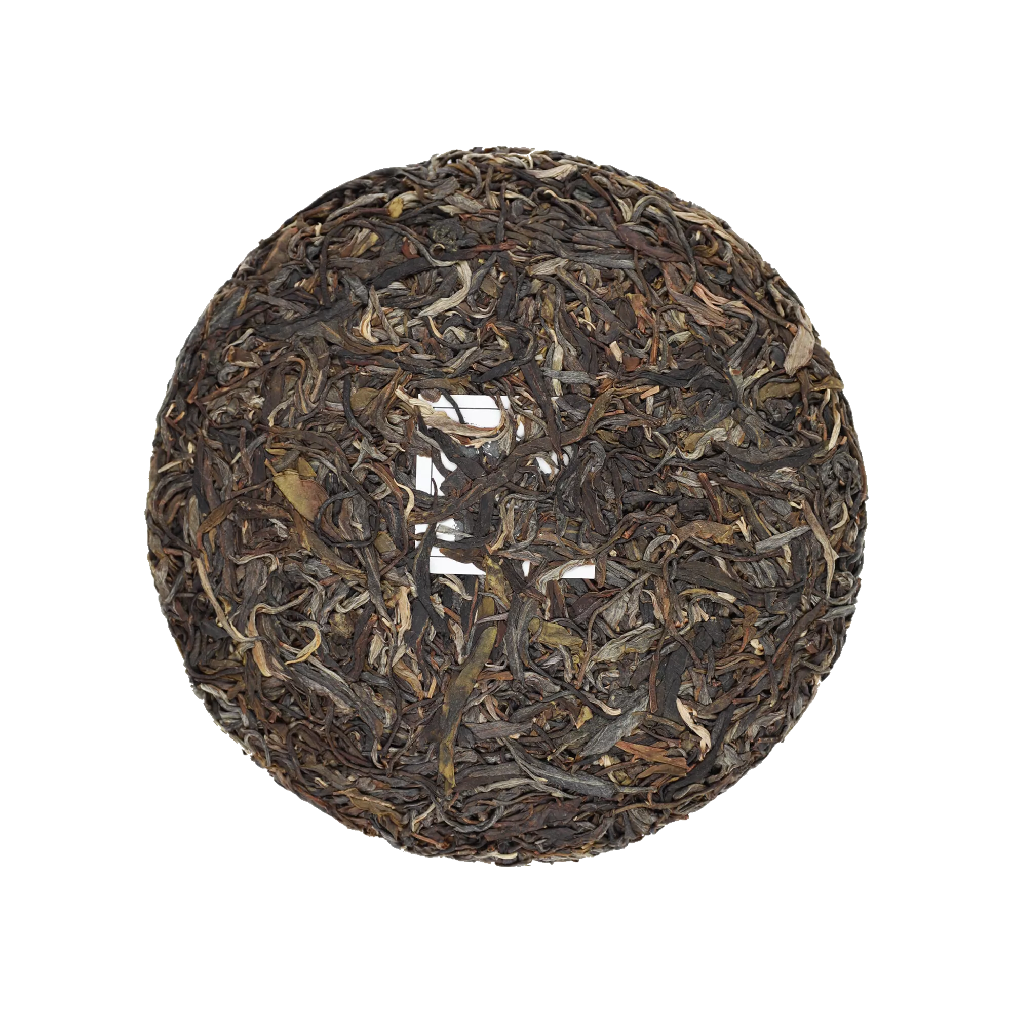 启顺古树普洱生茶